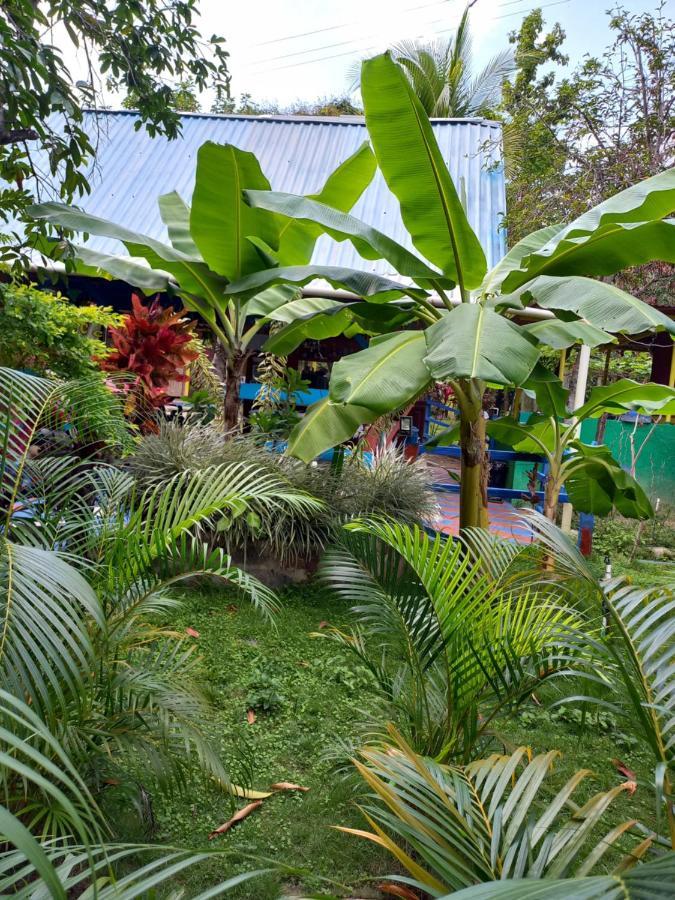 Апартаменты Eco-Cafe El Mirador Гуачака Экстерьер фото