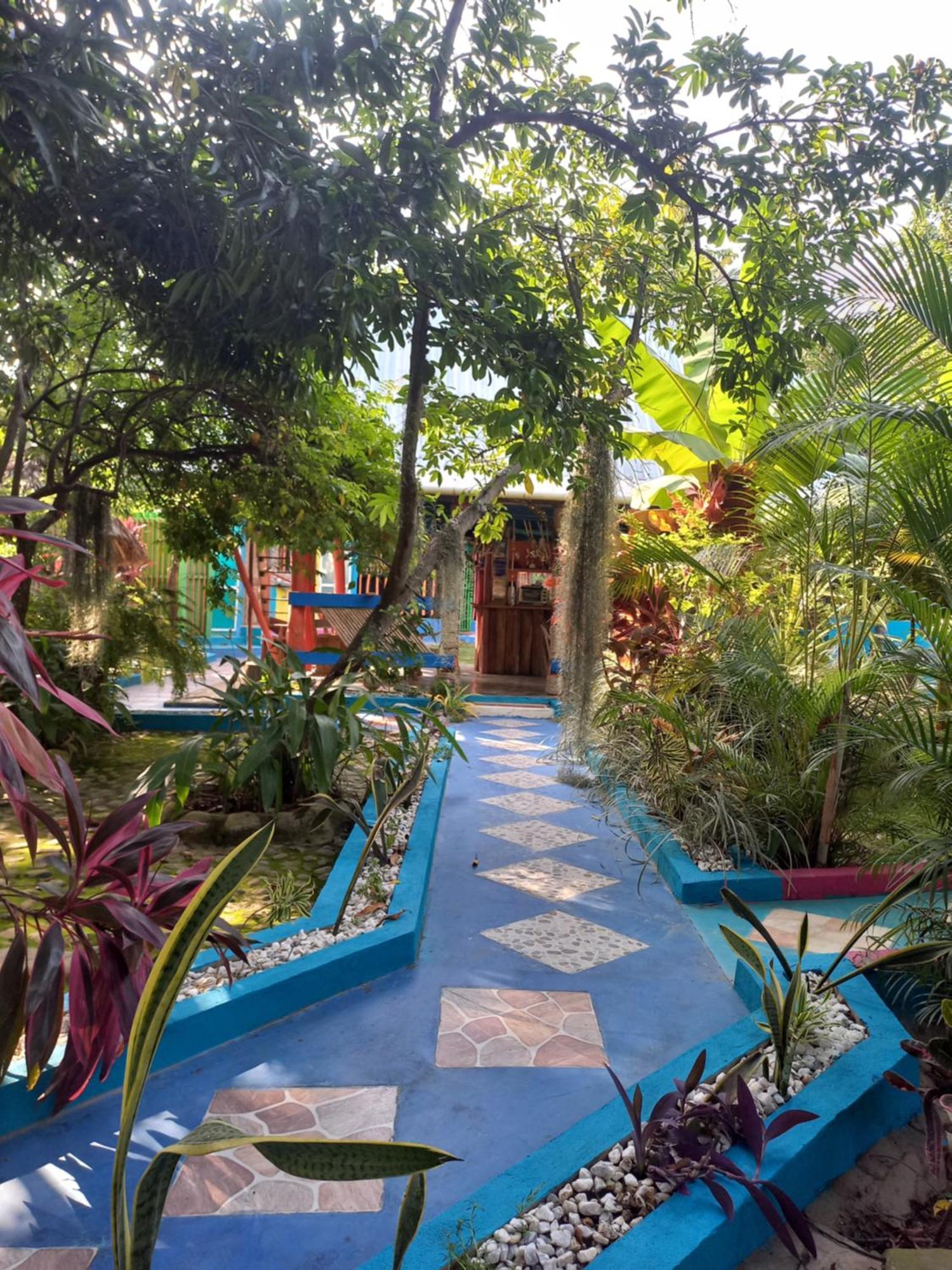 Апартаменты Eco-Cafe El Mirador Гуачака Экстерьер фото