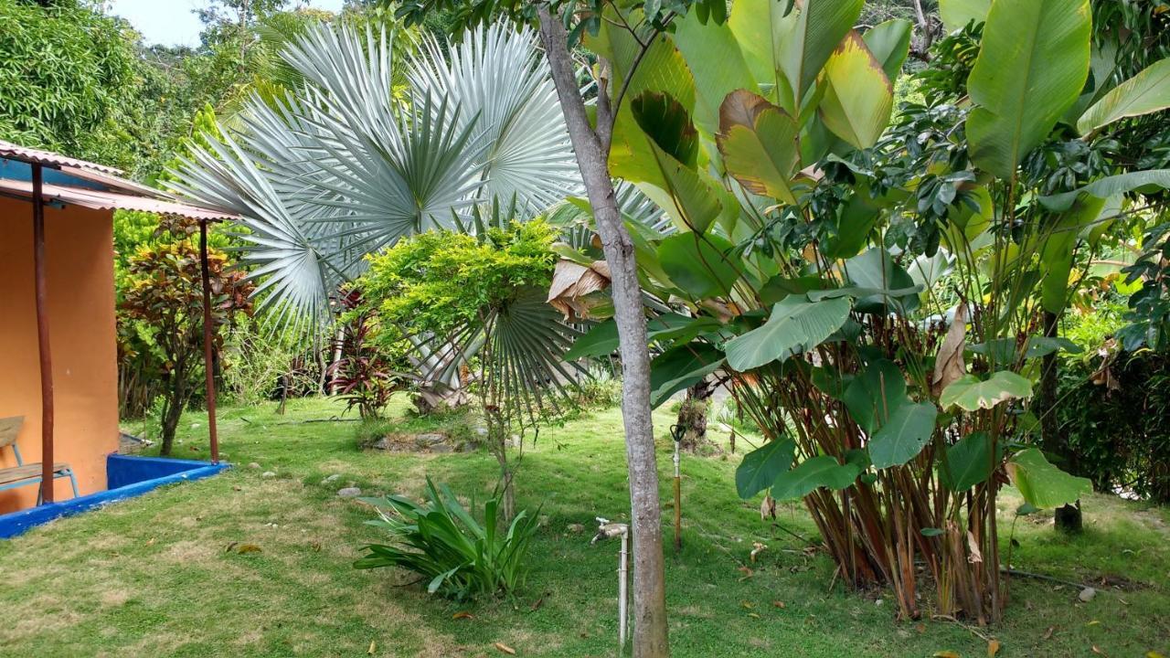 Апартаменты Eco-Cafe El Mirador Гуачака Экстерьер фото